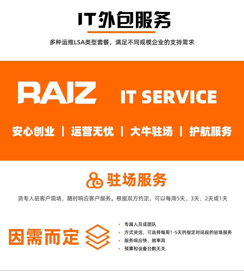 睿智創新RAIZ，一體化IT服務提供商