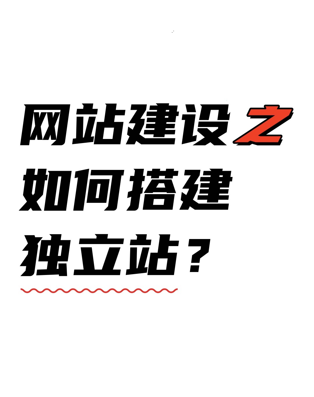 睿智創新RAIZ，一體化IT服務提供商